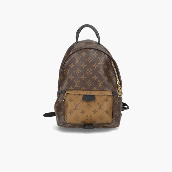 LOUIS VUITTON Reverse Palmsprings PM Backpack