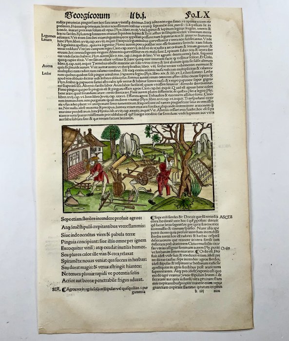 Master of Gruninger Workshop Virgil - Georgics Medieval farming husbandry bucolic scene - 1517 - 1517