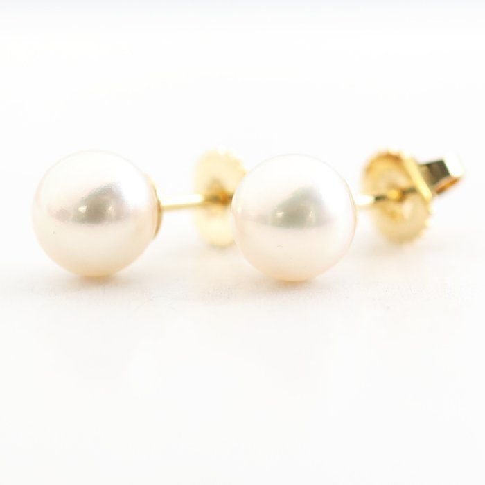 Tiffany  Co. - Øreringe - Pearl Earrings - 18 kraat Gulguld