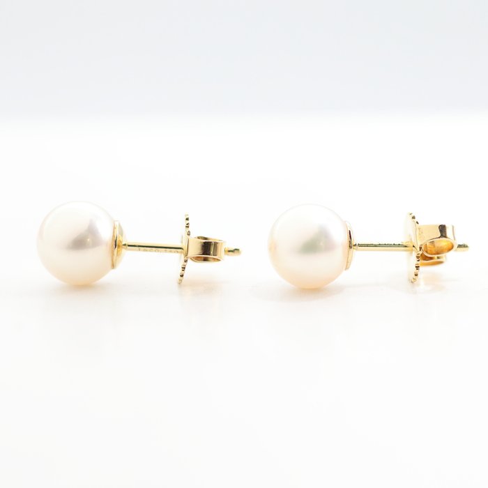 Tiffany  Co. - Øreringe - Pearl Earrings - 18 kraat Gulguld