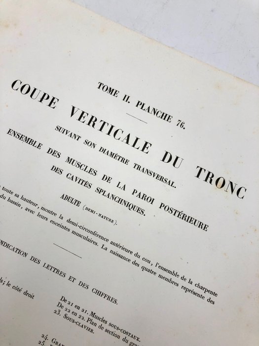 Undervisningsmaterialer - Nicolas-Henri Jacob  Jean Baptiste Marc Bourgery - traité d'anatomie de l'homme 1881 - Papir - 1850-1900