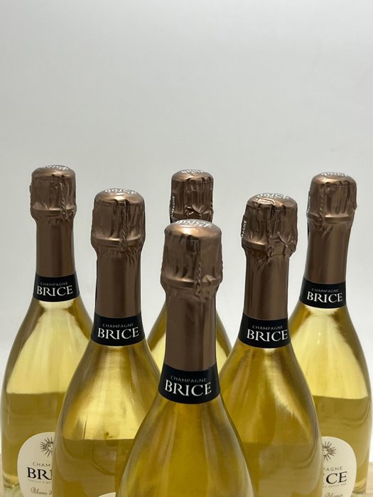 Brice, Blanc de Blancs Premier Cru Extra Brut - Champagne Blanc de Blancs - 6 Flasker (0,75 L)