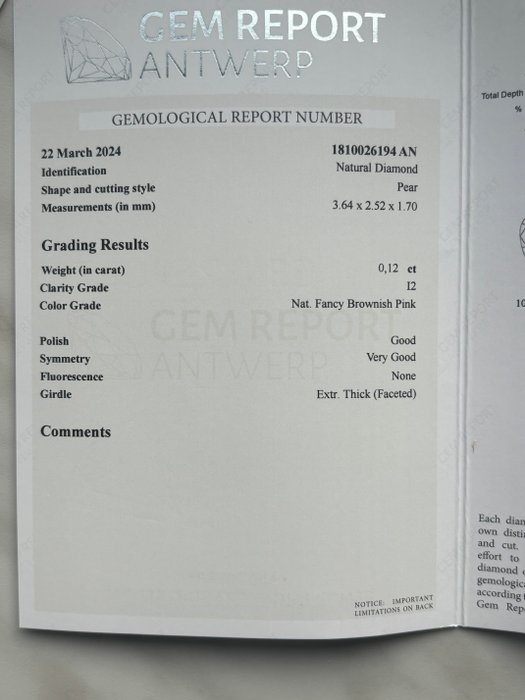 Ingen mindstepris - 1 pcs Diamant  (Naturfarvet)  - 0.12 ct - Fancy Brunlig Lyserød - I2 - Gem Report Antwerp (GRA)