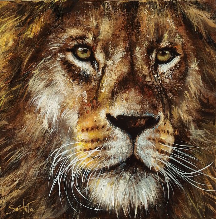 Ewa Switala - Lion