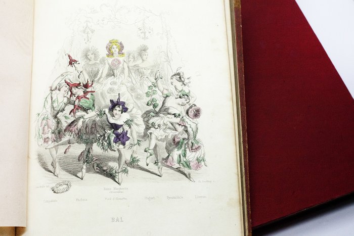 Granville - Les Fleurs Animées - 1847