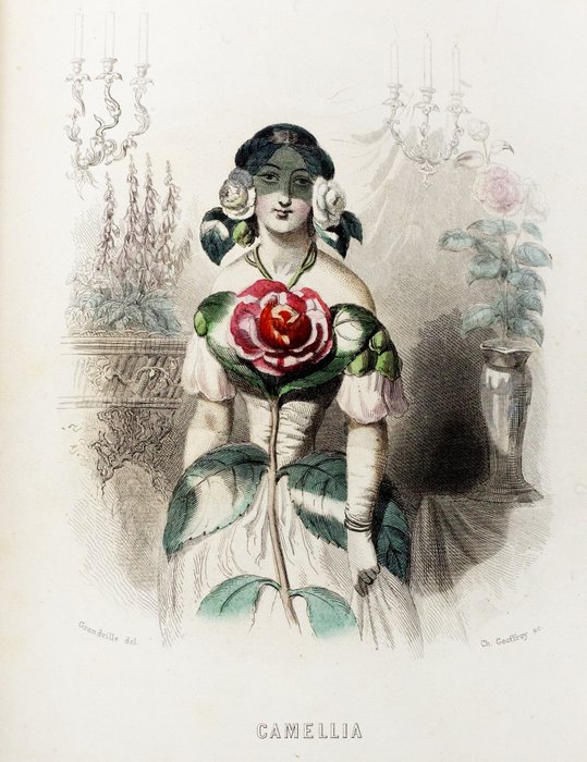 Granville - Les Fleurs Animées - 1847