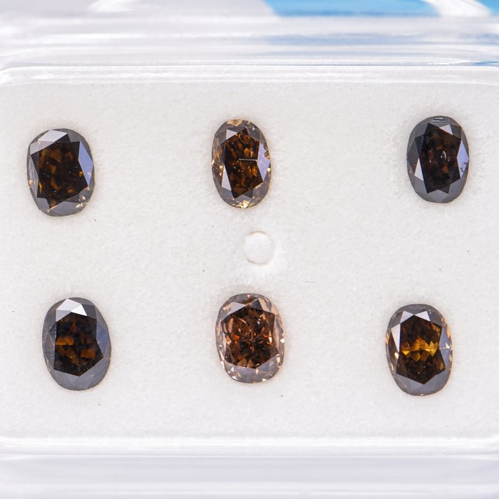 Ingen mindstepris - 6 pcs Diamant  (Naturfarvet)  - 1.06 ct - Oval - Fancy dark, Fancy deep Blandet brun, Blandet gul - SI2 - International Gemological Institute (IGI)