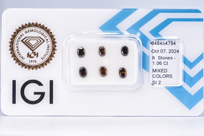 Ingen mindstepris - 6 pcs Diamant  (Naturfarvet)  - 1.06 ct - Oval - Fancy dark, Fancy deep Blandet brun, Blandet gul - SI2 - International Gemological Institute (IGI)