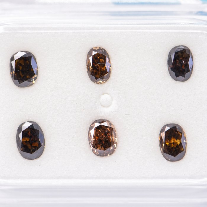 Ingen mindstepris - 6 pcs Diamant  (Naturfarvet)  - 1.06 ct - Oval - Fancy dark, Fancy deep Blandet brun, Blandet gul - SI2 - International Gemological Institute (IGI)