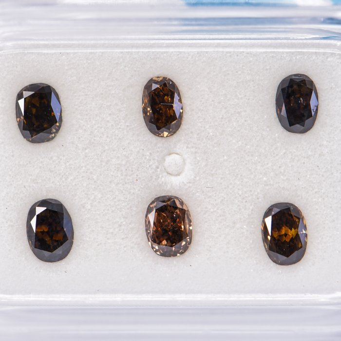 Ingen mindstepris - 6 pcs Diamant  (Naturfarvet)  - 1.06 ct - Oval - Fancy dark, Fancy deep Blandet brun, Blandet gul - SI2 - International Gemological Institute (IGI)