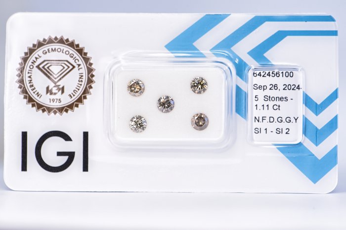 Ingen mindstepris - 5 pcs Diamant  (Naturfarvet)  - 1.11 ct - Rund - Fancy deep Grålig, Grønlig Gul - SI1, SI2 - International Gemological Institute (IGI)