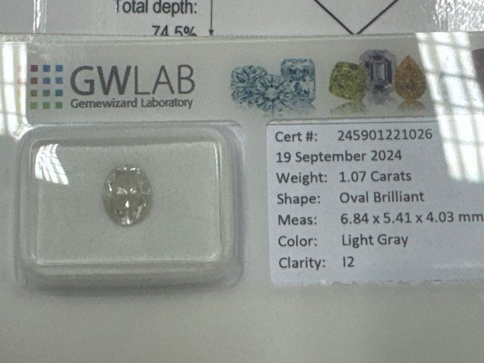 Ingen mindstepris - 1 pcs Diamant  (Naturfarvet)  - 1.07 ct - Oval - Light Grå - I2 - Gemewizard Gemological Laboratory (GWLab)