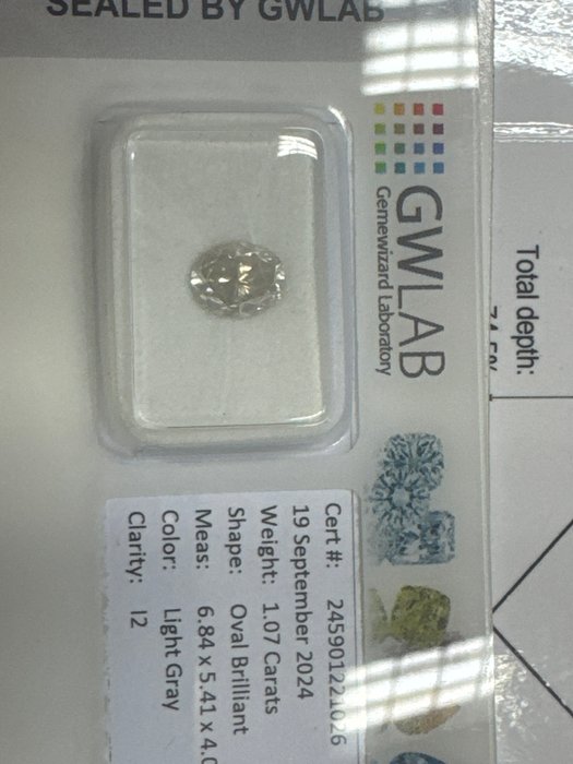 Ingen mindstepris - 1 pcs Diamant  (Naturfarvet)  - 1.07 ct - Oval - Light Grå - I2 - Gemewizard Gemological Laboratory (GWLab)