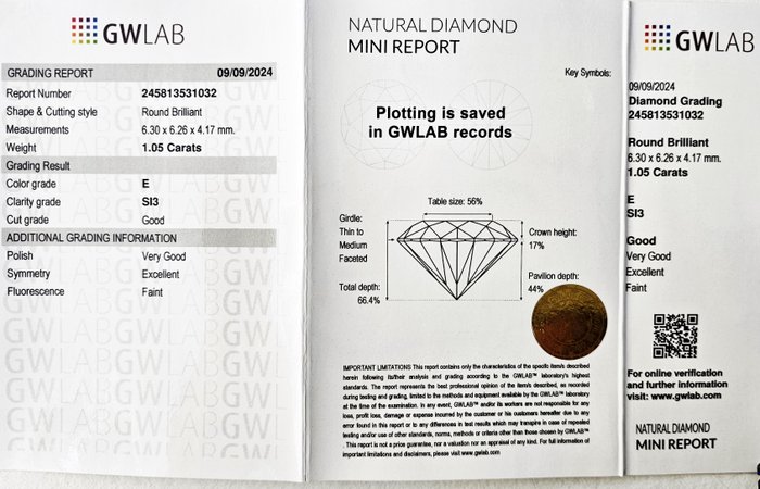 Ingen mindstepris - 1 pcs Diamant  (Natur)  - 1.05 ct - Rund - E - SI3 - Gemewizard Gemological Laboratory (GWLab)