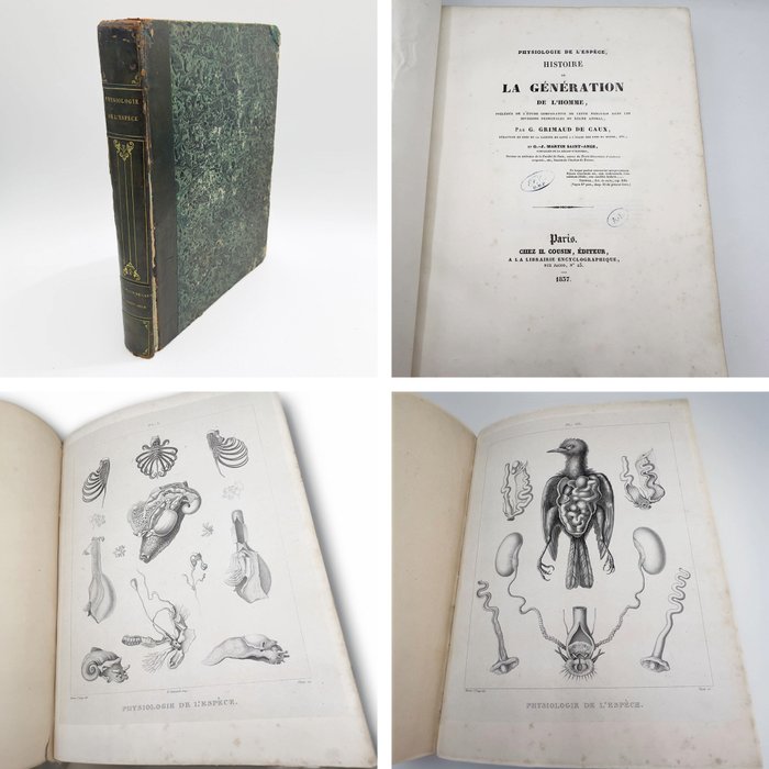 Gabriel Grimaud de Caux / Gaspard-Joseph Martin Saint-Ange - Physiologie de l’Espèce Histoire de la génération de l’Homme - 1837