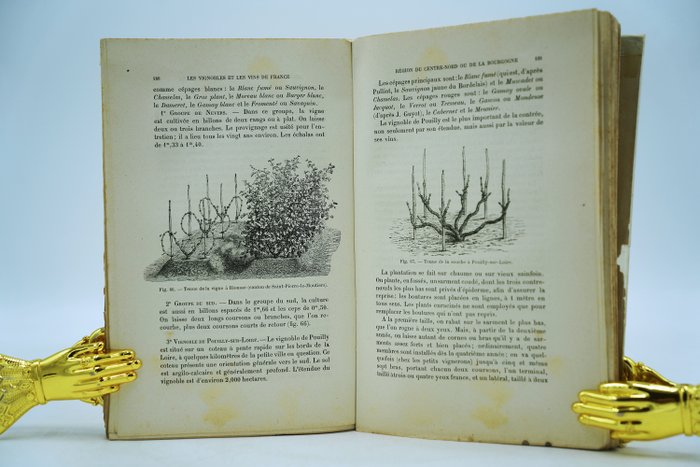 P. Mouillefert - Les vignobles et les vins de France et de l'étranger - 1891