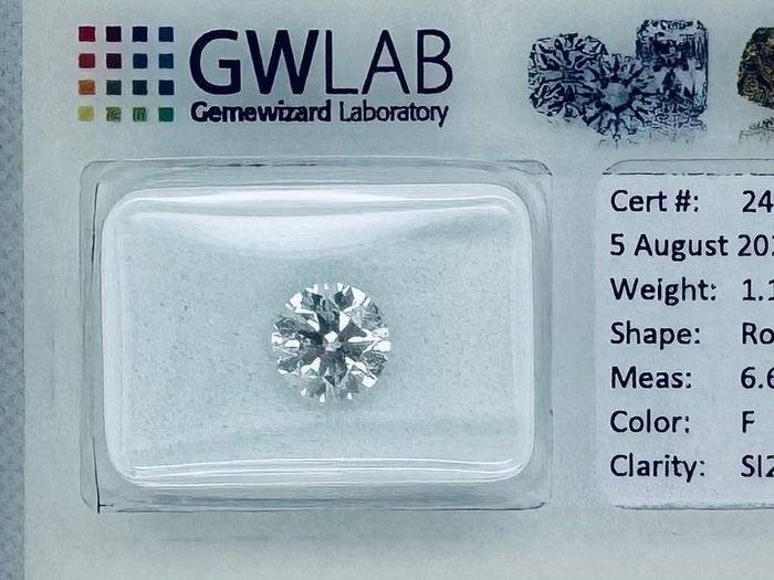 1 pcs Diamant  (Natur)  - 1.11 ct - Rund - F - SI2 - Gemewizard Gemological Laboratory (GWLab) - Ingen reservepris