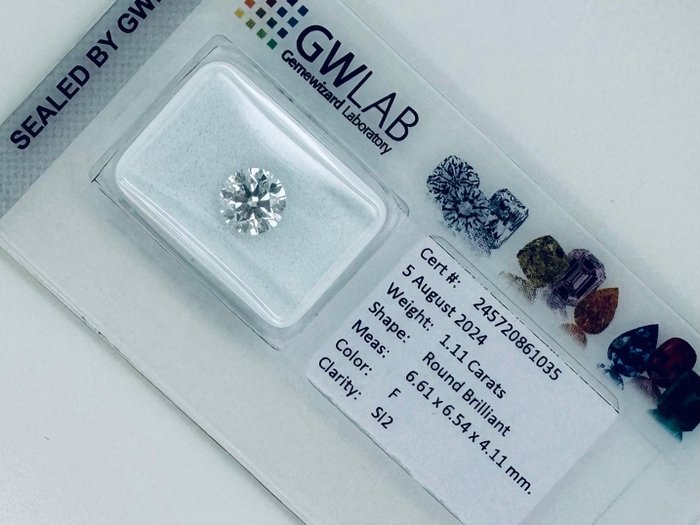 1 pcs Diamant  (Natur)  - 1.11 ct - Rund - F - SI2 - Gemewizard Gemological Laboratory (GWLab) - Ingen reservepris