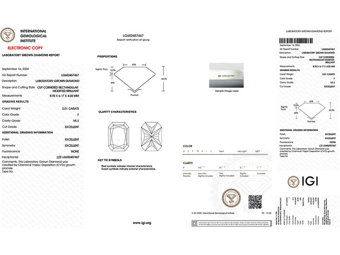 Øreringe - 14 karat Hvidguld -  4.06ct. tw. Diamant (Laboratoriedyrket)