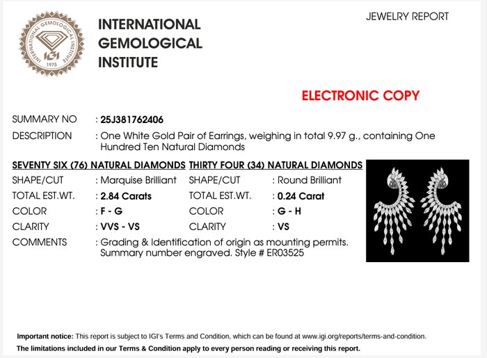 Øreringe - 18 kraat Hvidguld -  3.08ct. tw. Diamant (Natur) - Diamant