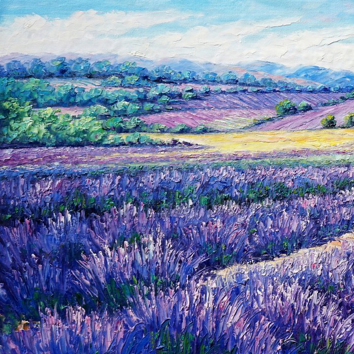 CleliaArt - Lavender Fields