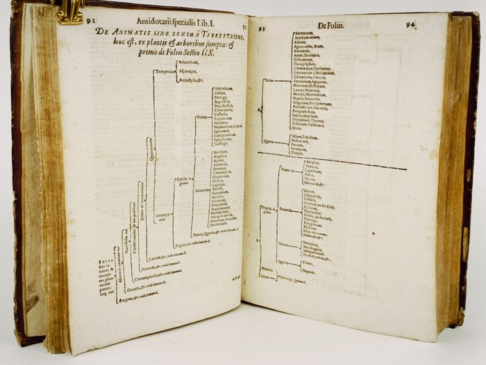 J. J. Wecker - Antidotarium generale et speciale - 1617