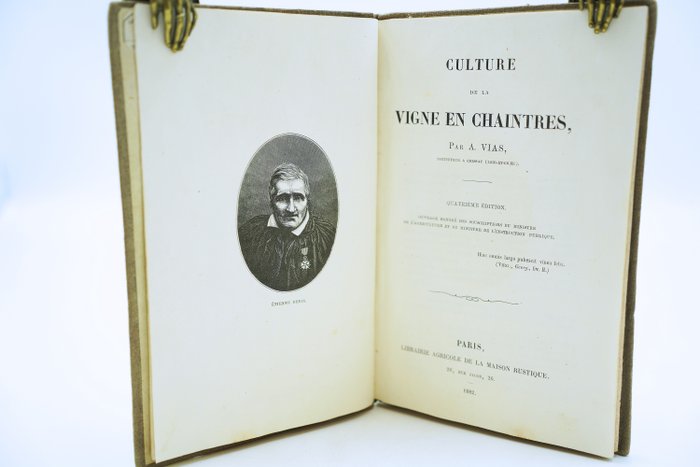 A Vias - Culture de la vigne en chaintres - 1882