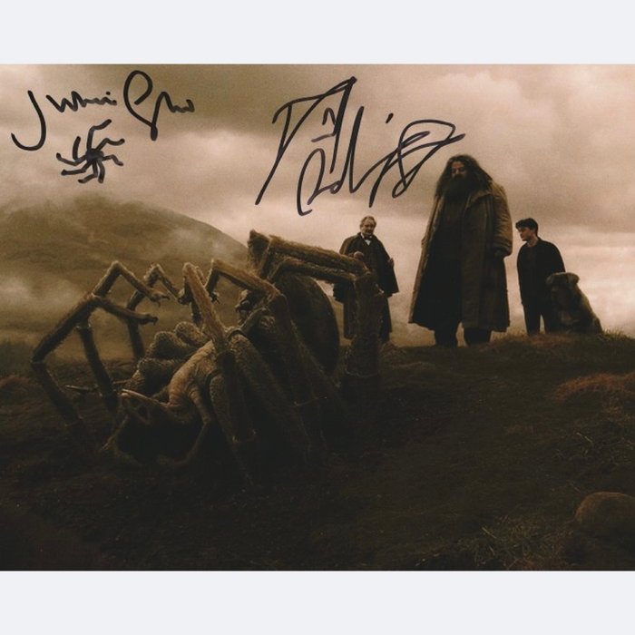 Harry Potter - Signed by Daniel Radcliffe (Harry) and Julian Glover (Aragog)