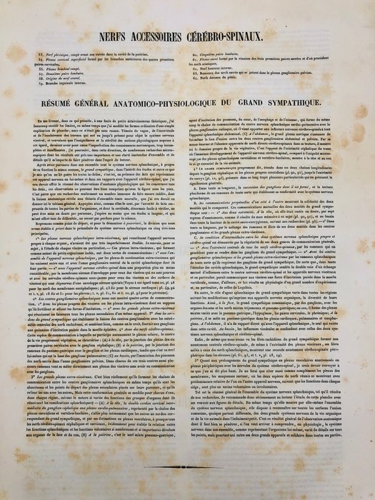 Undervisningsmaterialer - Nicolas-Henri Jacob  Jean Baptiste Marc Bourgery - traité d'anatomie de l'homme 1881 - Papir - 1850-1900 - Tredobbelt gravering