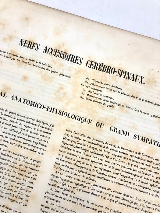 Undervisningsmaterialer - Nicolas-Henri Jacob  Jean Baptiste Marc Bourgery - traité d'anatomie de l'homme 1881 - Papir - 1850-1900 - Tredobbelt gravering