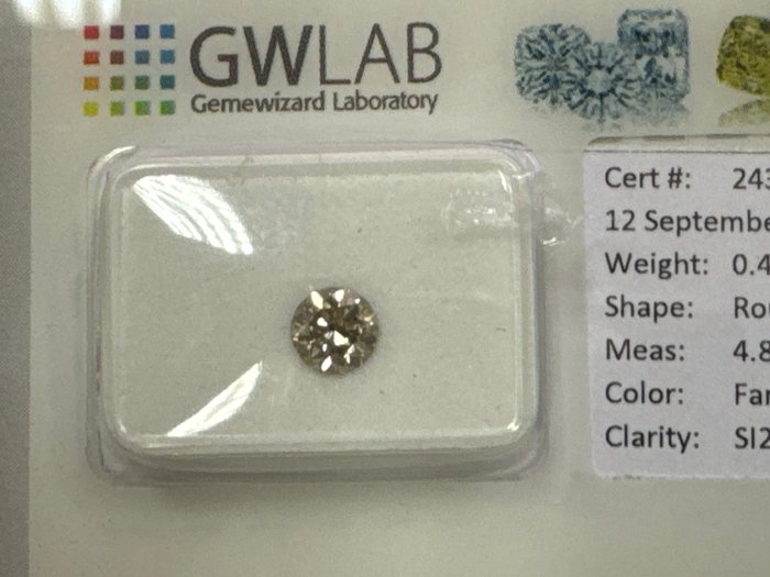 Ingen mindstepris - 1 pcs Diamant  (Naturfarvet)  - 0.49 ct - Rund - Fancy Grå - SI2 - Gemewizard Gemological Laboratory (GWLab)