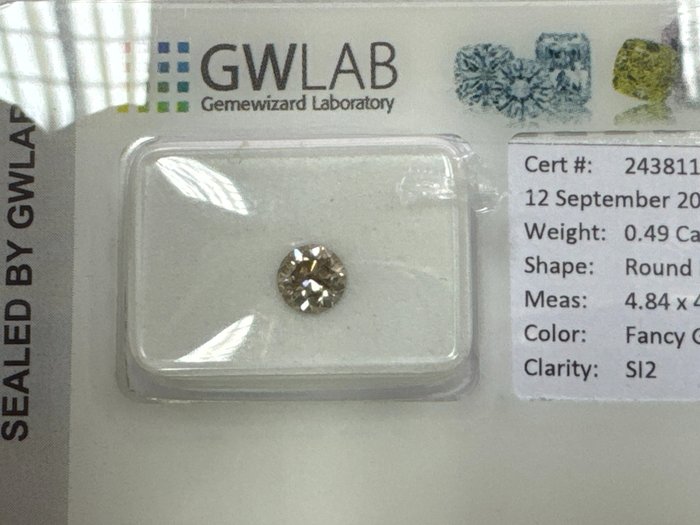 Ingen mindstepris - 1 pcs Diamant  (Naturfarvet)  - 0.49 ct - Rund - Fancy Grå - SI2 - Gemewizard Gemological Laboratory (GWLab)