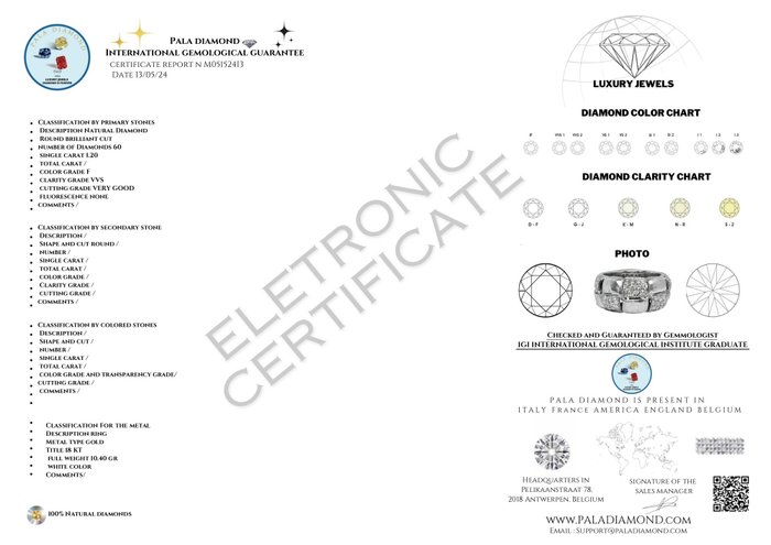 Pala Diamond - Ring - 18 kraat Hvidguld -  1.20ct. tw. Diamant (Natur)