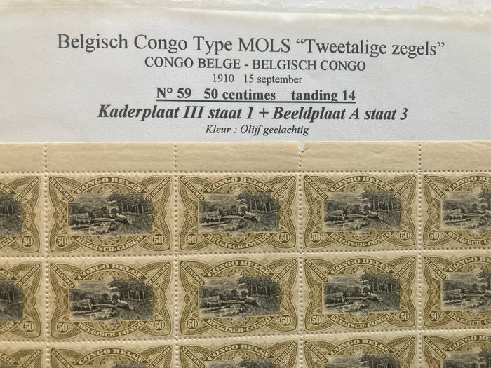 Belgisk Congo 1910 - Tosproget stempel 'Mols': 50c Oliven i hele ark af 50 - OBP/COB 59