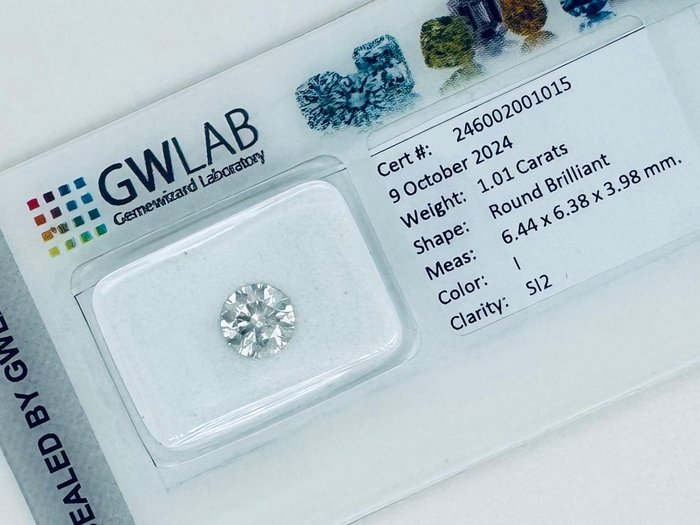 Ingen mindstepris - 1 pcs Diamant  (Natur)  - 1.01 ct - Rund - I - SI2 - Gemewizard Gemological Laboratory (GWLab)