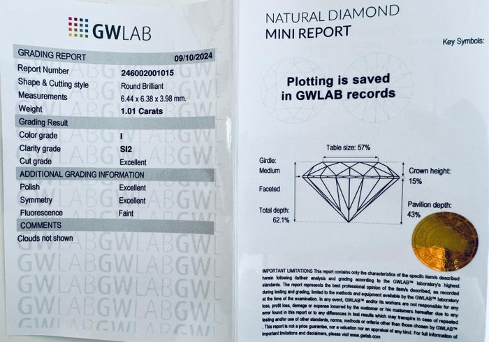 Ingen mindstepris - 1 pcs Diamant  (Natur)  - 1.01 ct - Rund - I - SI2 - Gemewizard Gemological Laboratory (GWLab)