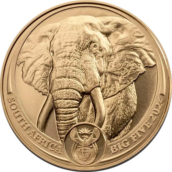 1 Troy Ounce - Guld 999 - 2024 - Big five - 50 Rand fine gold - 999% - Præget bar