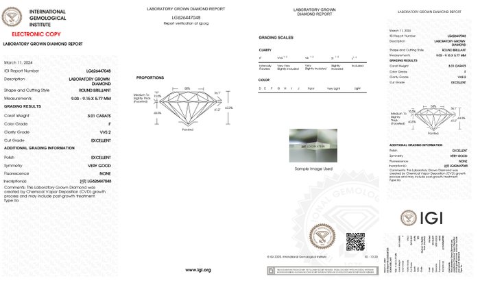 Øreringe - 18 kraat Hvidguld -  6.07ct. tw. Diamant (Laboratoriedyrket) - Runde F-VVS2