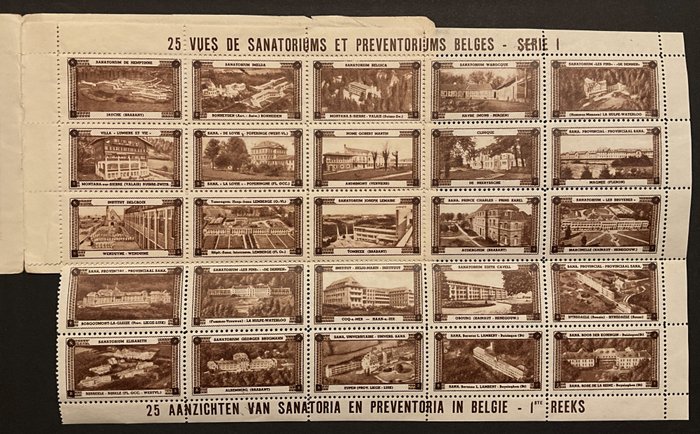 Belgien 1945/1950 - Hæfte med vignetter "Sanatorier + Preventorier" - "Sanatorier og Preventoria" - Série /Reeks 1  - BRUIN / BRUN - Prachtige staat van bewaring