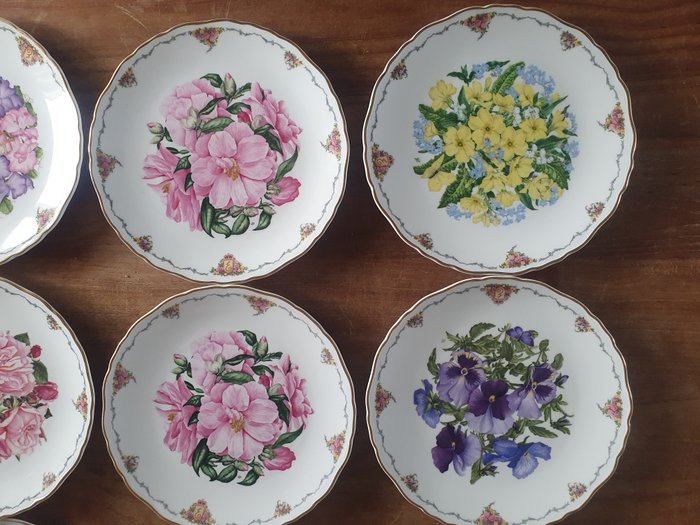 Royal Albert - Sara Anne Schofield - Middagstallerken (12) - Diversen - Porcelæn