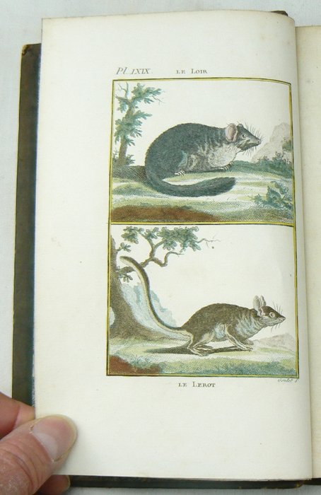 Georges-Louis Leclerc de Buffon; Charles-Nicolas-Sigisbert Sonnini [red.] - Histoire Naturelle, génerale et particulière, par Leclerc de Buffon; nouvelle edition [...] - 1799