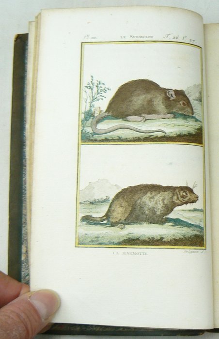 Georges-Louis Leclerc de Buffon; Charles-Nicolas-Sigisbert Sonnini [red.] - Histoire Naturelle, génerale et particulière, par Leclerc de Buffon; nouvelle edition [...] - 1799