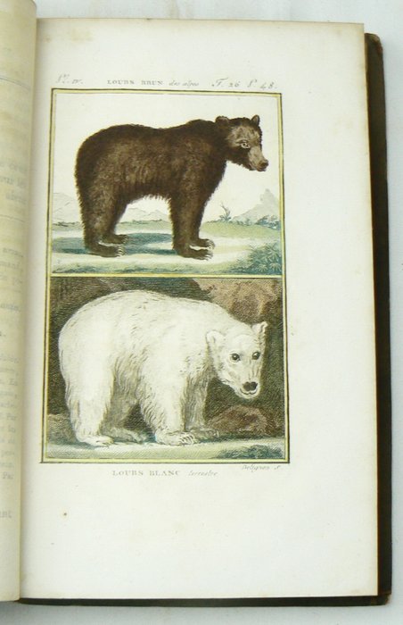 Georges-Louis Leclerc de Buffon; Charles-Nicolas-Sigisbert Sonnini [red.] - Histoire Naturelle, génerale et particulière, par Leclerc de Buffon; nouvelle edition [...] - 1799