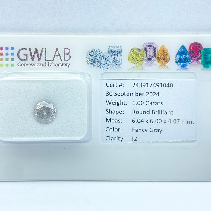 Ingen mindstepris - 1 pcs Diamant  (Naturfarvet)  - 1.00 ct - Rund - Fancy Grå - I2 - Gemewizard Gemological Laboratory (GWLab)