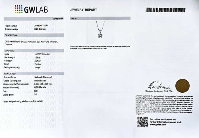 Halskæde med vedhæng - 14 karat Hvidguld -  0.70ct. tw. Diamant (Natur)