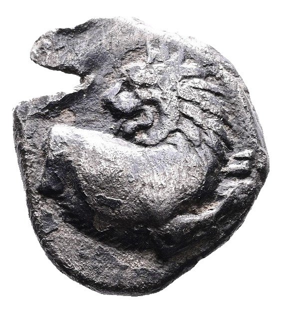 Thrakien, Chersonesos. Hemidrachm circa 386-338 BC  (Ingen mindstepris)