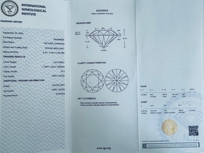 1 pcs Diamant  (Natur)  - 1.02 ct - Rund - I - SI2 - International Gemological Institute (IGI)