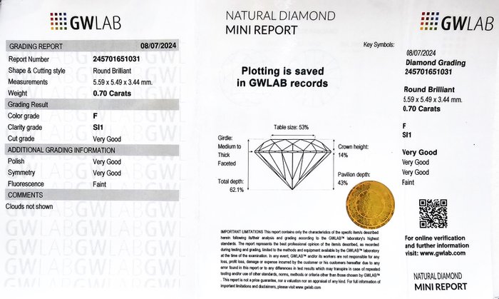 1 pcs Diamant  (Natur)  - 0.70 ct - Rund - F - SI1 - Gemewizard Gemological Laboratory (GWLab)