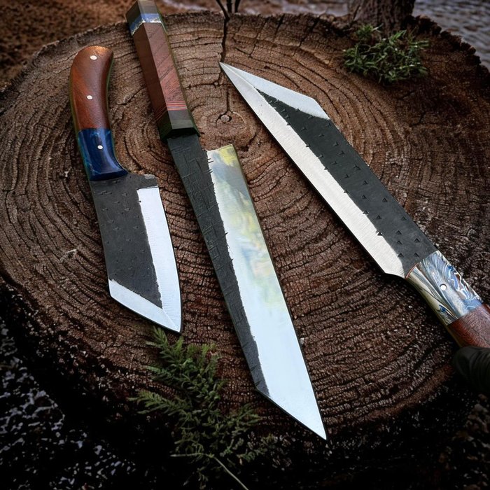 Køkkenkniv - Chef's knife - Stål, 3, af slagsen japansk Tanto stil køkkenknive, fancy tilføjelse, dobbelt poleret 440c stål, naturligt - Asien