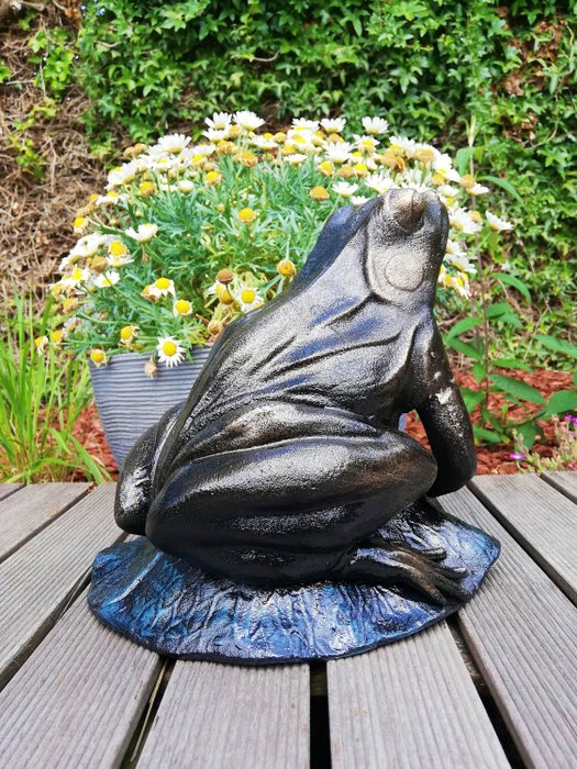 Statuette - frog on lotus leaf - Jern